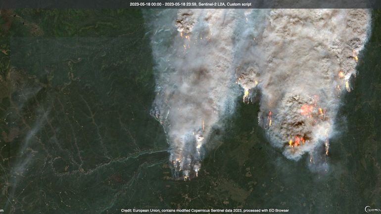 Feux de forêt au Canada : les incendies clairement visibles sur des images satellites (photos avant/après)