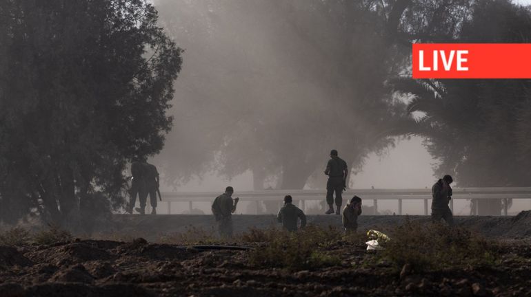 Direct - Guerre Israël-Gaza : l'armée israélienne annonce la mort de 46 soldats depuis le début de la guerre à Gaza