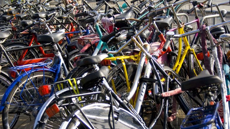 Journée mondiale du vélo : 
