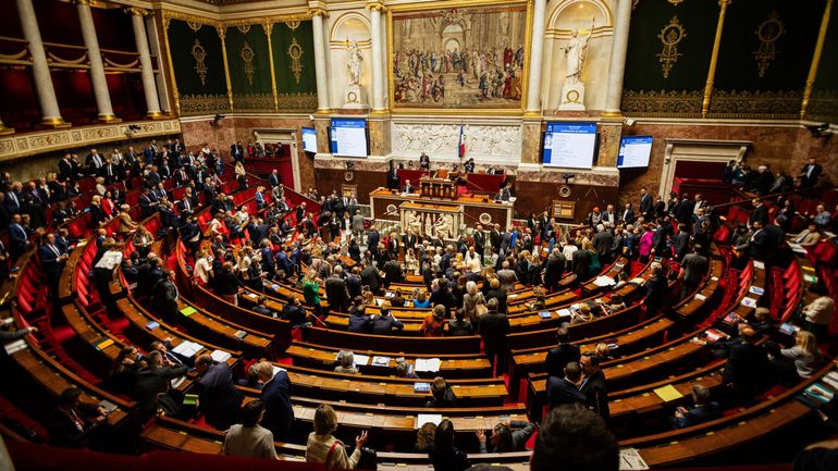 Français de l'étranger : leur vote, leur pouvoir, leurs députés& Cette différence avec la Belgique