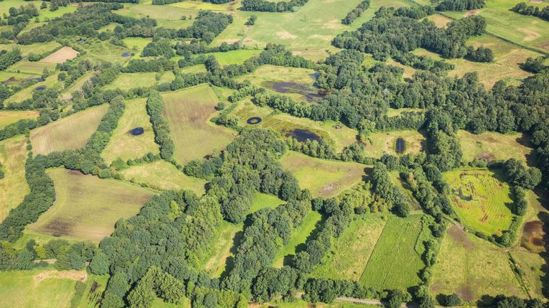 Une première réserve de biosphère belge parmi les 11 nouvelles désignées par l'UNESCO