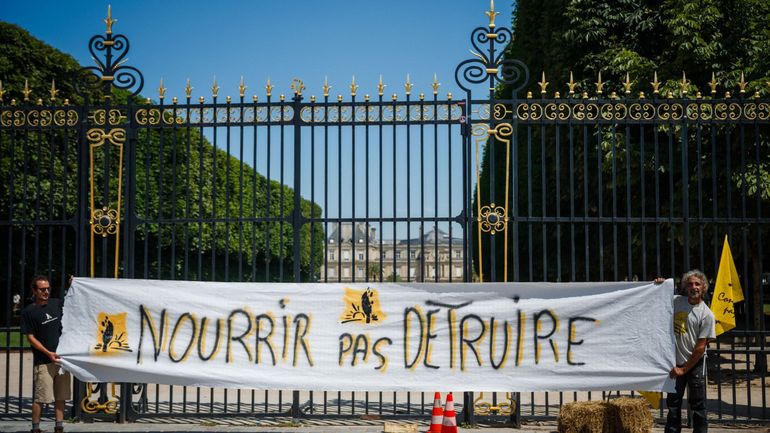 Près de 800.000 signatures : une pétition lancée par une étudiante contre la réinstauration d'un pesticide en France pourra être débattue à l'Assemblée nationale