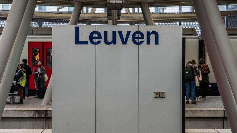 Ferroviaire en Brabant-Flamand : la circulation interrompue entre Louvain et Hever en raison de la chute d'un arbre