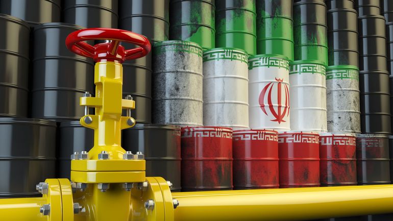 Iran : 4000 ouvriers grévistes de l'industrie pétrochimique vont être licenciés