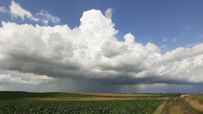 Météo en Belgique : rentrée calme et fraîche ce lundi