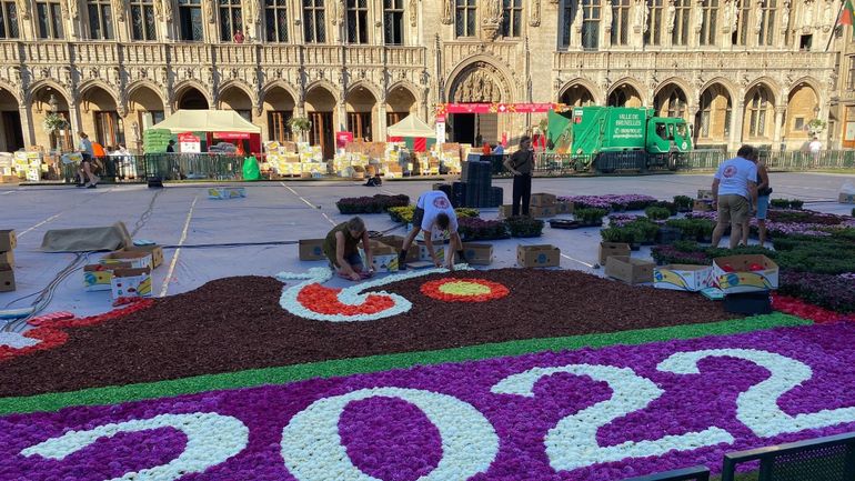 Bruxelles : le tapis de fleurs de la Grand-Place fête ses 50 ans sous la chaleur