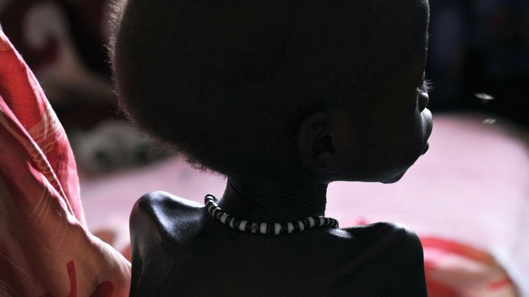 Les deux tiers des déplacés dans l'est du Soudan ne peuvent pas se nourrir suffisamment, selon le NRC