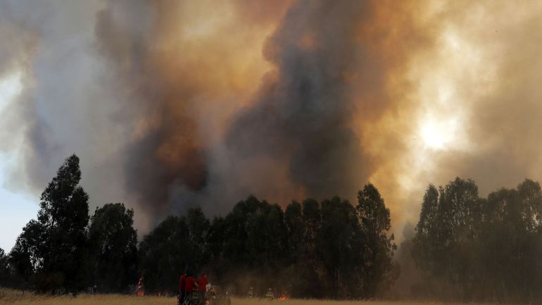 Chili : plus de 30 arrestations de pyromanes présumés suite aux incendies