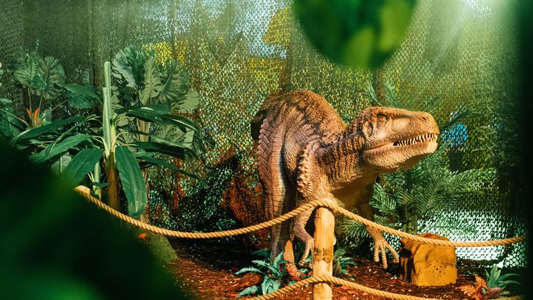 Saint-Josse : dinosaures et châteaux gonflables s'installent place Rogier