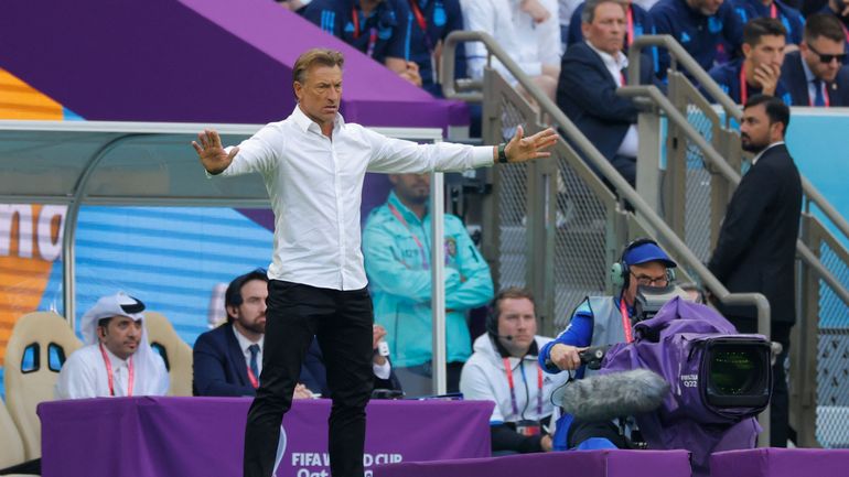 Coupe du monde 2022 : de la Zambie à l'Arabie saoudite, Hervé Renard ce faiseur de miracles