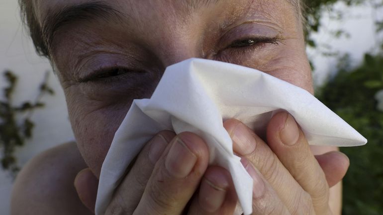 La moitié de la population allergique d'ici 2050, selon l'OMS. Voici pourquoi
