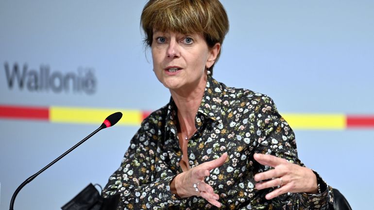 La nouvelle mouture du pass Visit WAllonia devrait être lancé dès 2022