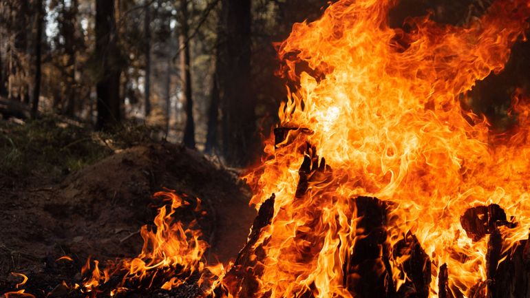 Un incendie de forêt menace des habitations près d'Athènes