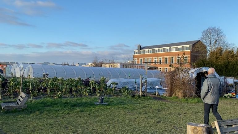 Watermael-Boitsfort : La Ferme du Chant des Cailles accepte de voir pousser des logements sur le site dédié à l'agriculture urbaine