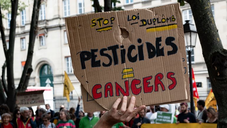 Vers la fin des insecticides à base d’acétamipride chez les particuliers dans l’UE