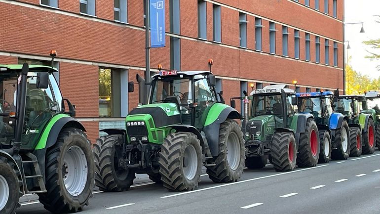 Les agriculteurs flamands demandent une adaptation du Plan azote : 