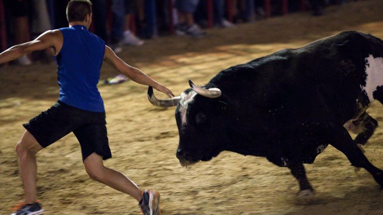 Espagne : trois personnes mortes encornées dans des lâchers de taureaux