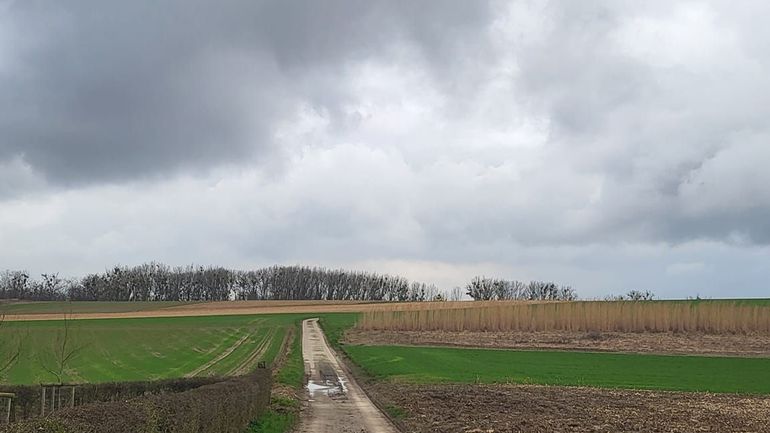 Météo en Belgique : entre grisaille et éclaircies ce mardi