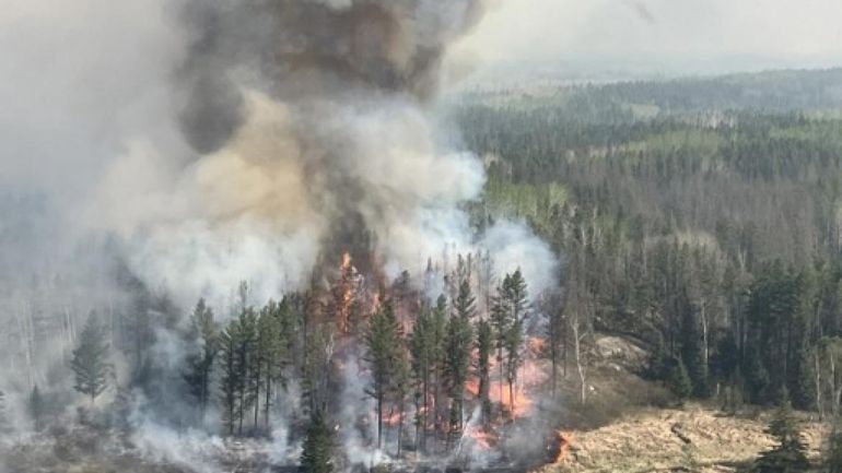 Incendies au Canada : les fumées visibles en Europe sont sans danger pour la santé