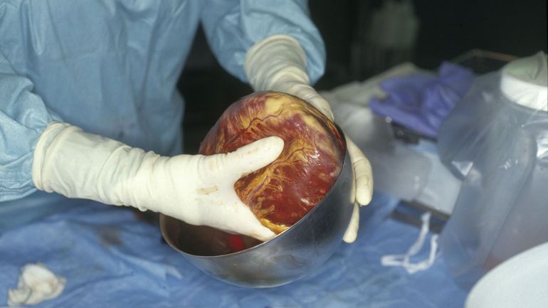 Roumanie : enquête sur un trafic d'implants cardiaques prélevés sur des morts