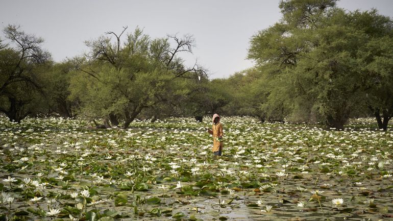 Le Niger veut porter son taux d'électrification de 17% à 80% d'ici à 2035