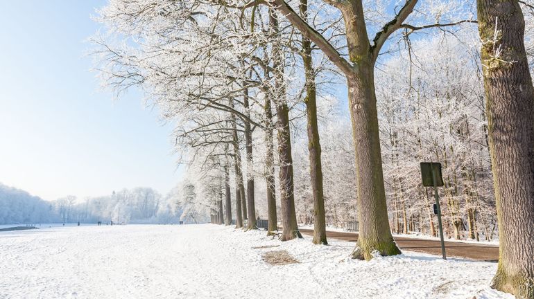 Retour de la neige en Belgique : plusieurs centimètres attendus la nuit prochaine