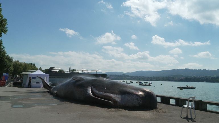 Ruvre d'art ou baleine échouée ? Cette énorme masse au bord du lac de Zurich intrigue