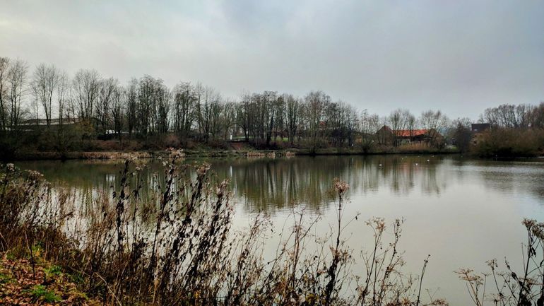 Météo en Belgique : un dimanche gris et plus doux en perspective, avec un peu de bruine localement