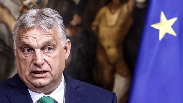 Le trouble jeu de Viktor Orban et du nouveau groupe parlementaire des 