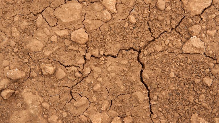Le changement climatique a rendu la sécheresse estivale 