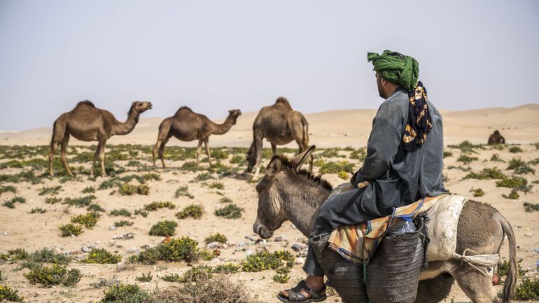 Le Maroc se dirige vers une sixième année de sécheresse et continue à miser sur la dessalinisation d'eau de mer