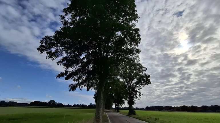 Météo en Belgique : samedi gris, dimanche plus lumineux