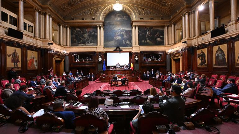 Réformer le Sénat, certains partis l'envisagent, mais cela n'est pas si simple