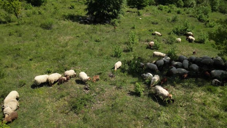 Découvrez les plus belles réserves naturelles de Wallonie ce week-end