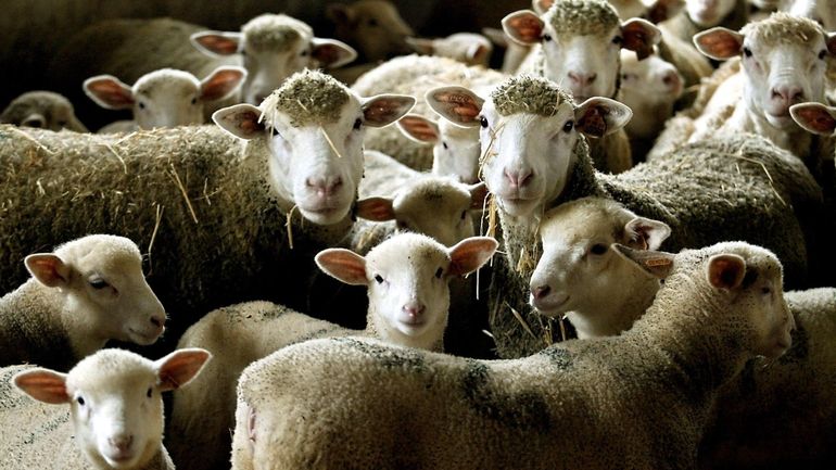 Un site web pour devenir fermier