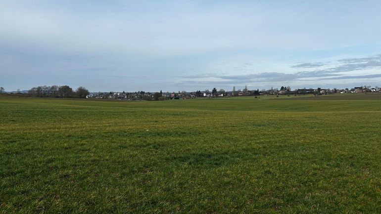 La Ferme du Grand Feu : nouvel élan pour l'agriculture de proximité à Bouge