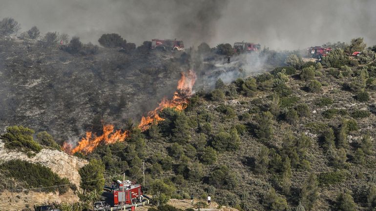 Un feu de forêt menace une banlieue sud d'Athènes