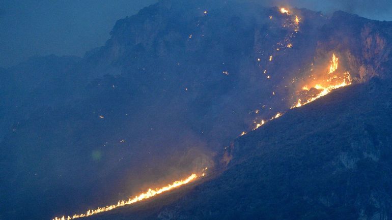 Incendies de forêt en Sicile : l'aéroport de Palerme est rouvert