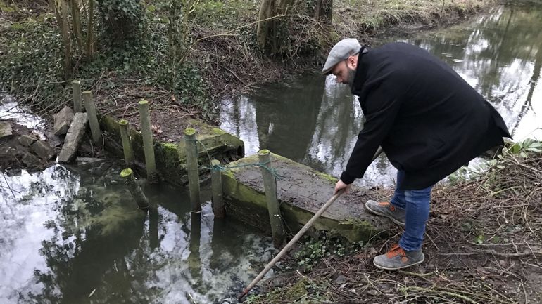 Herchies le ruisseau des richards pollue par la station d epuration RTBF Actus