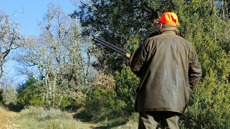 Record du nombre de chasseurs en Wallonie