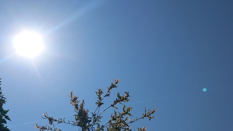 Vague de chaleur en Belgique d'ici dimanche ?
