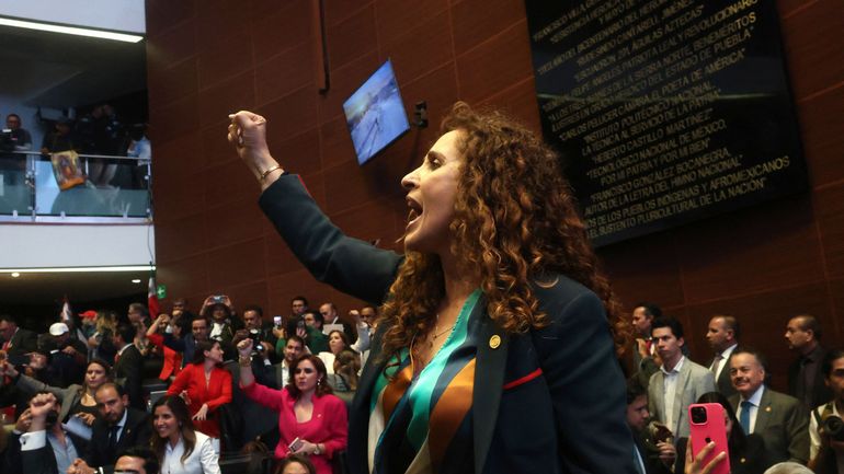 Mexique : le Sénat se délocalise après son invasion par des manifestants