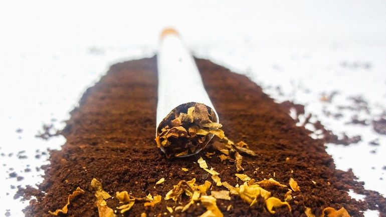 La police d'Anvers saisit 250 kilos de tabac illégal