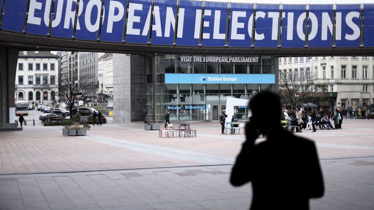 Le Parlement européen sous influence russe ? Les libéraux et les Verts réclament une enquête