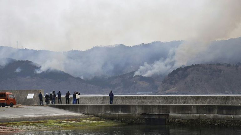 Japon : l'incendie de forêt continue de se propager