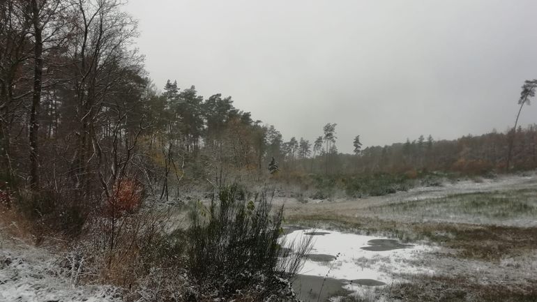 Météo en Belgique : un samedi gris, froid et venteux, avant un dimanche printanier