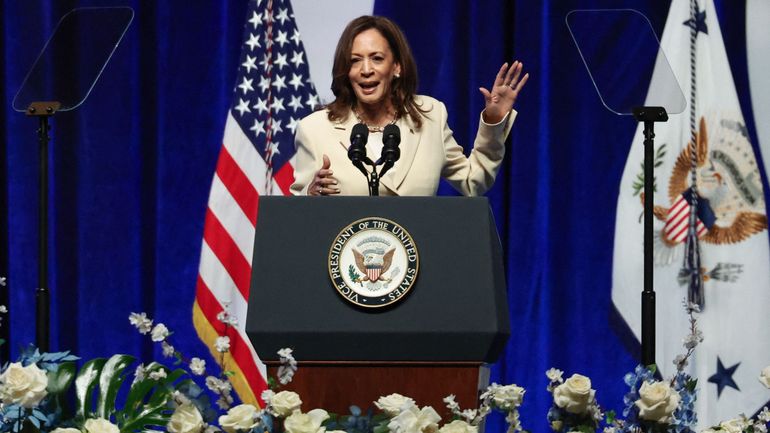 Election présidentielle américaine : Kamala Harris jongle entre les soutiens et les tentatives de déstabilisations