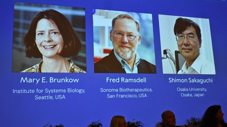 Nobel de médecine : un trio récompensé pour la recherche sur le contrôle du système immunitaire