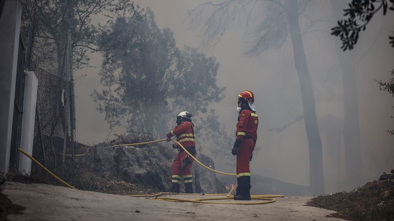 Évacuations en Espagne à cause d'un important feu de forêt