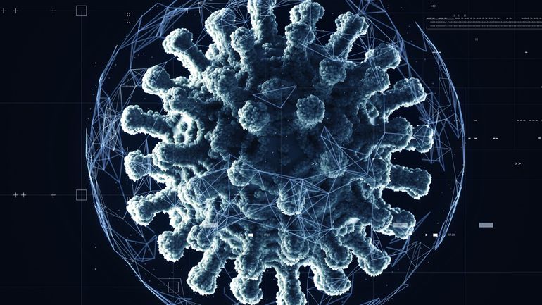 Coronavirus : un nouveau variant détecté en Afrique du Sud